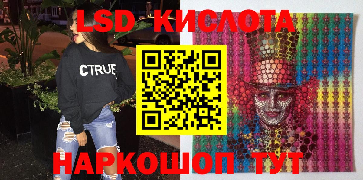 Наркотические марки  Вход с VPN  Бердск  Марки N-bome 1,8мг 